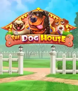 Pragmatic Play's The Dog House, featuring a delightful adventure through lovable dogs. Enjoy gameplay elements including multipliers, aimed at delivering exciting wins. A must-try for those who enjoy an amusing theme with a chance for big wins.