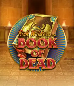 Enter the thrilling world of Book of Dead Slot by Play'n GO, presenting vivid graphics of Rich Wilde’s adventurous journey through ancient Egyptian tombs and artifacts. Find lost riches with captivating mechanics like free spins, expanding symbols, and a gamble option. Ideal for adventure enthusiasts with a desire for thrilling discoveries.